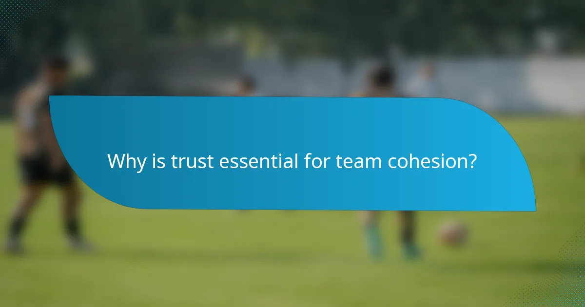 Why is trust essential for team cohesion?